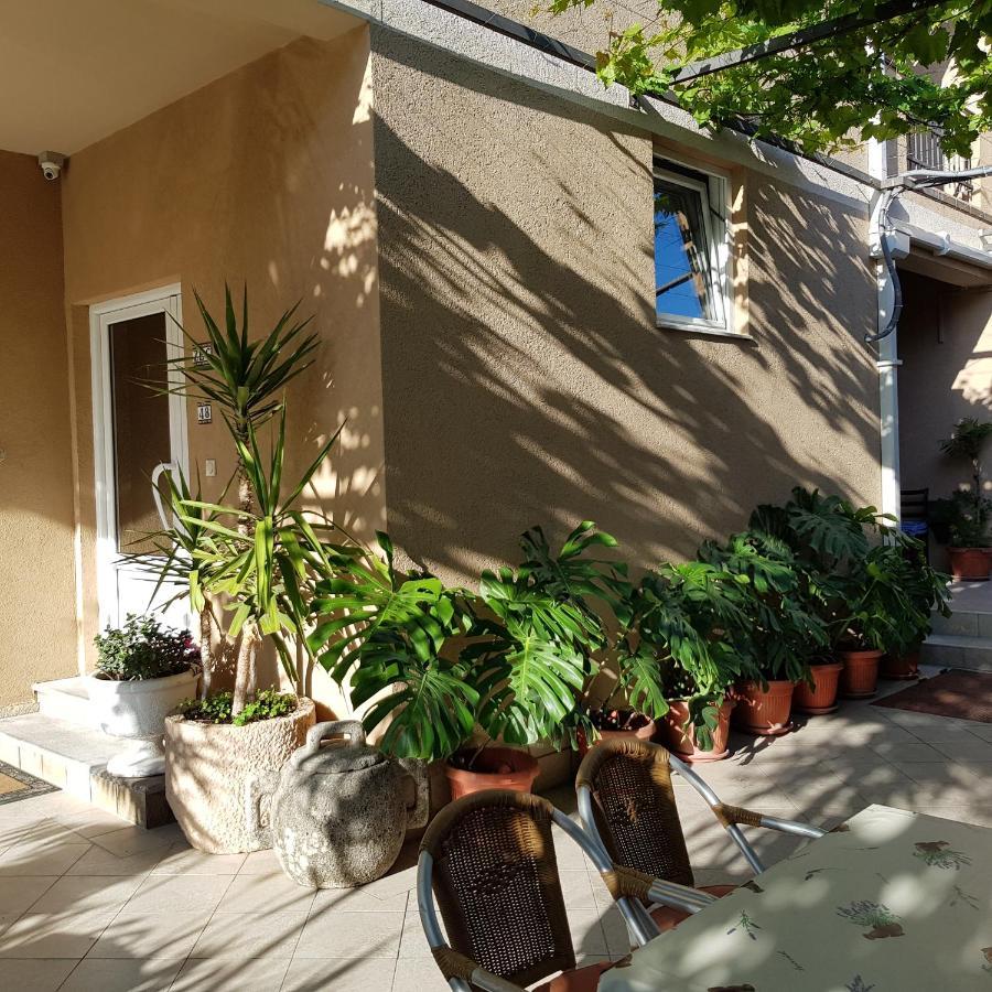 Villa Pedja Zec Exclusive 3+ Будва Екстериор снимка